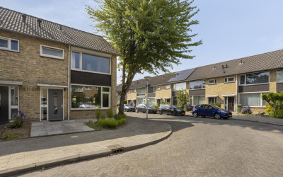 Pippelingstraat 16