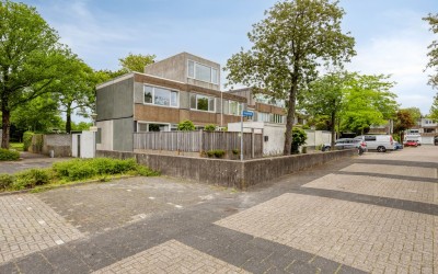 Haagbeemd 14