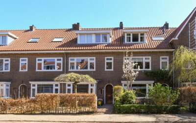 Boerhaavela. 15