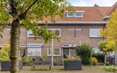 Wilgenroosstraat 29