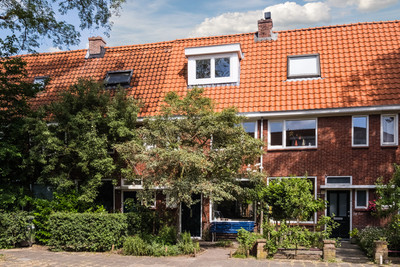 Hortensiast. 29
