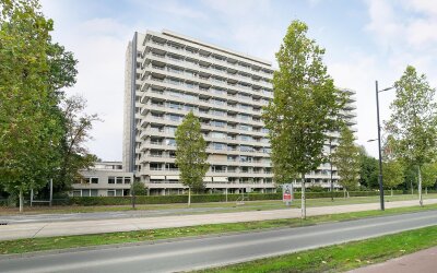 Herman Gort. 287