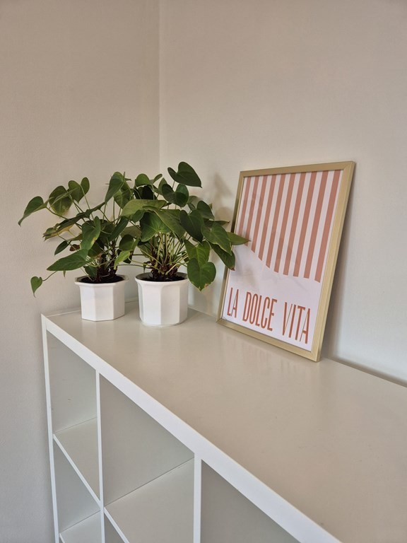 Appartement te huur: Zeelsterstraat 143A, Eindhoven