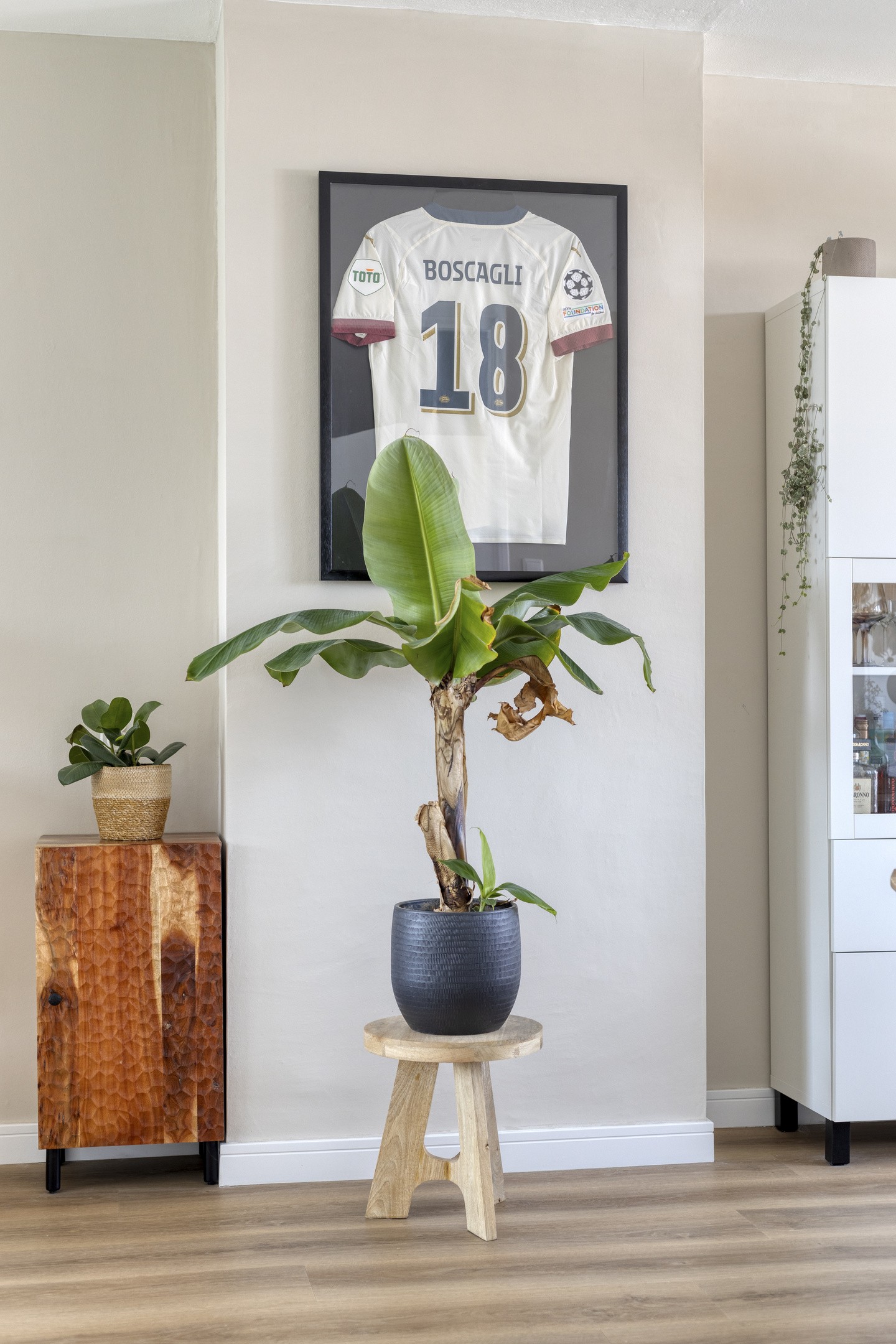 Appartement te koop: Simon van Leeuwenstraat 10, Eindhoven