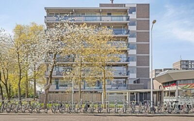 Kastelenple. 139