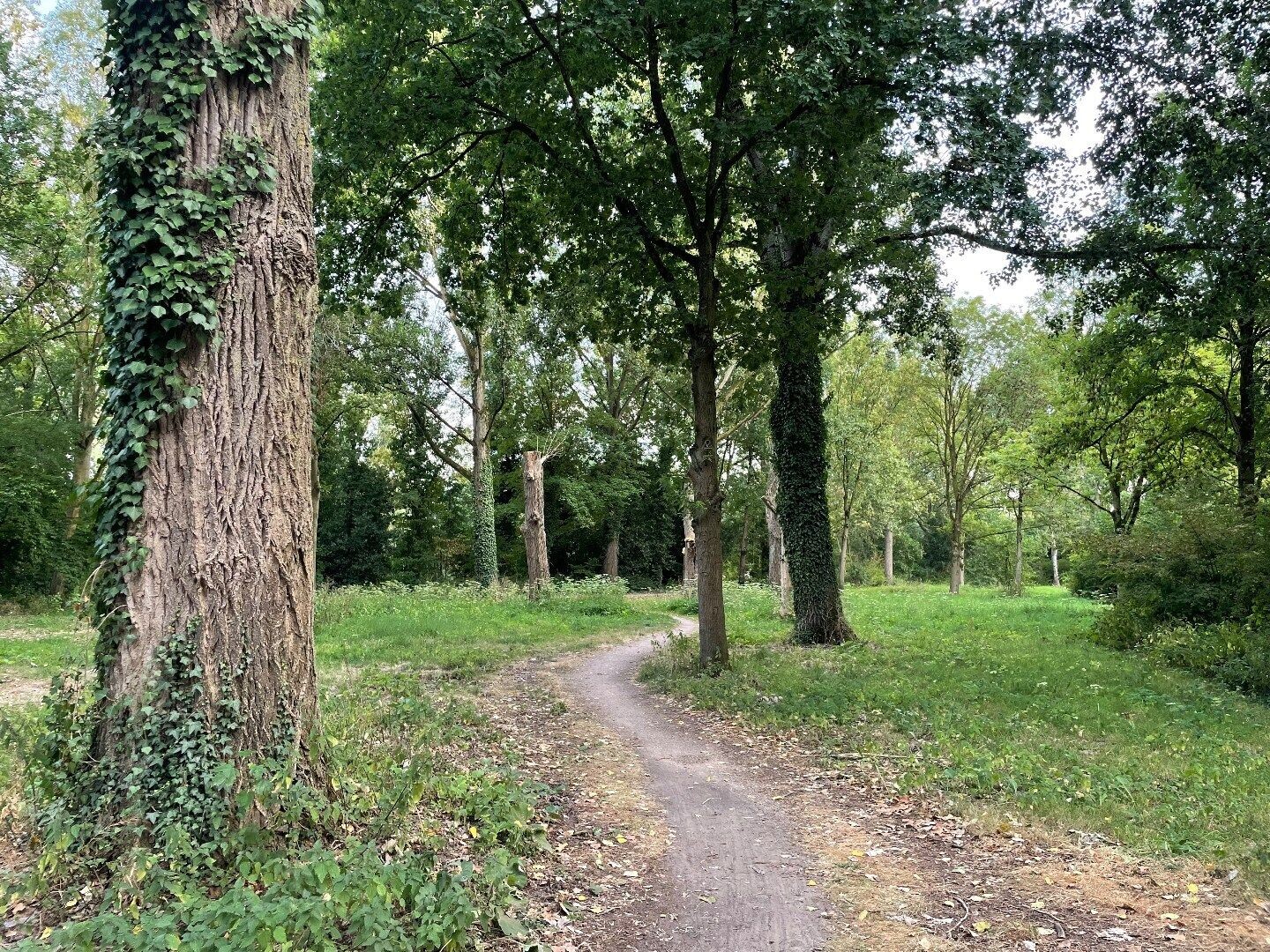 Tussenwoning te koop: Verhulststraat 40, Eindhoven