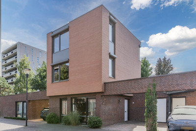Zandhoen 15