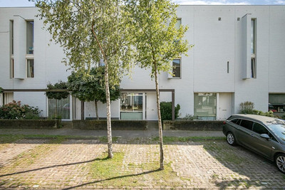 Zandbaars 53