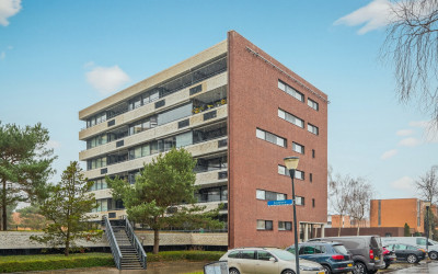 Zandbloem 165