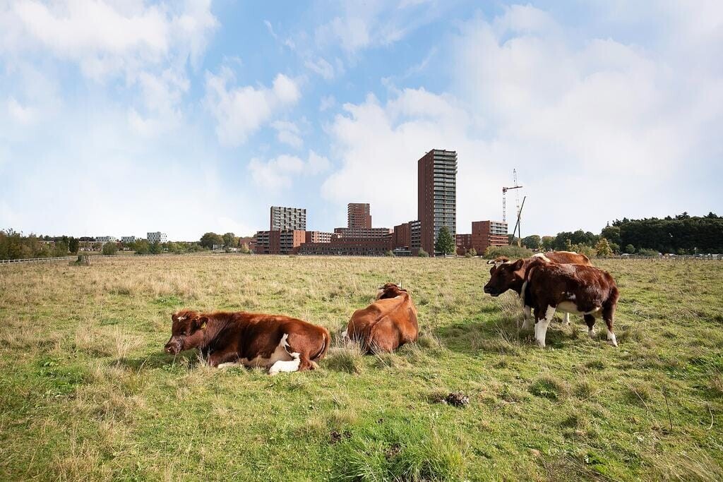 Tussenwoning te koop: Grasbloem 5, Eindhoven