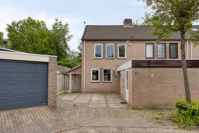 Schutsboom 1