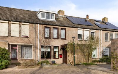 Schutsboom 26