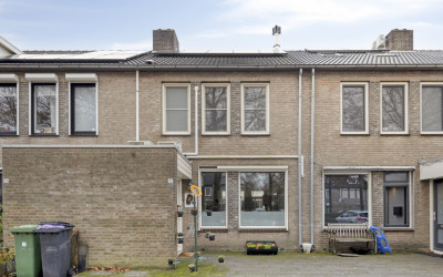 Schutsboom 37