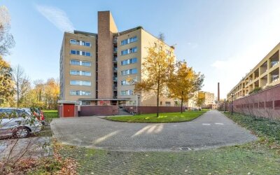 Hofdael 184