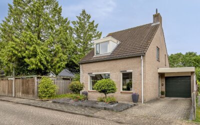 Korenbloem 8