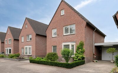 Distel 7