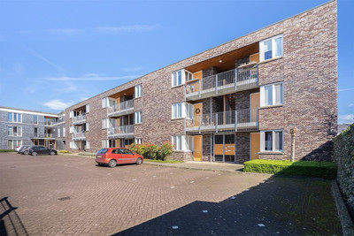 Moorland 54
