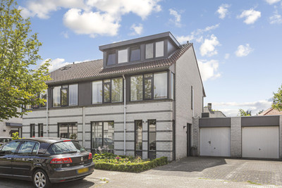 Goudrenet 11