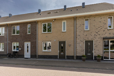 Honingbij 26