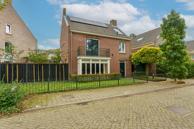 Groot Schui. 8