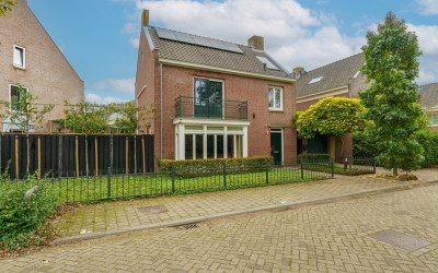 Groot Schui. 8