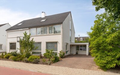 Boerhaavela. 1