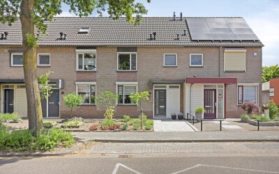 Leverkruid 18
