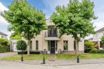 Boskoop 12