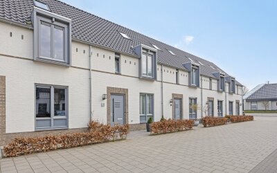 Windvang 8