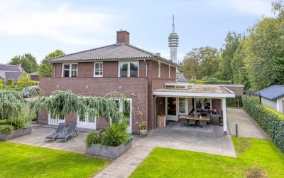 Vlaamse Gaai 3