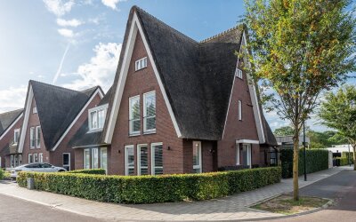 Zandoogje 1