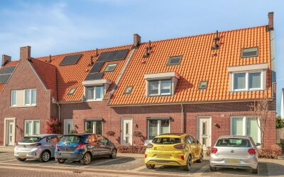 Kleine Vos 22