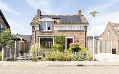 Schutsboom 48