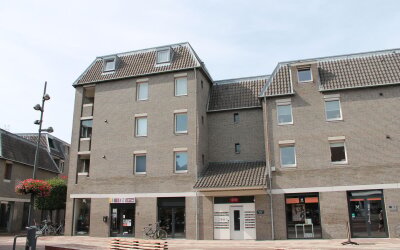 Martinetple. 28