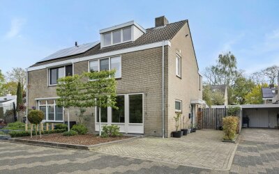 Linge 3