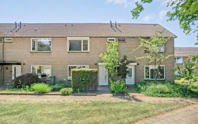 Maassingel 82