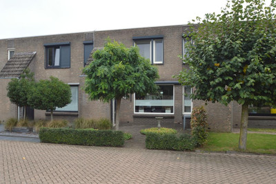 Dommel 7