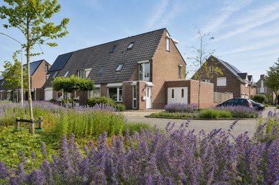 Peellandsingel 110