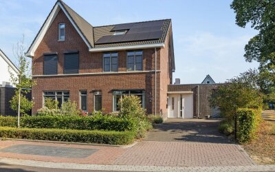 Pijnboom 2