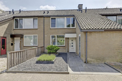 Mambostraat 35