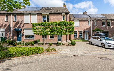 Boterbloem 27