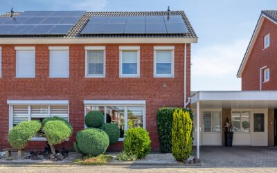 Wasbloem 7