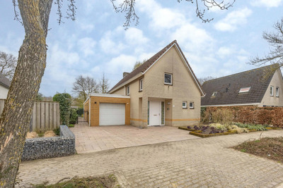 Zilverschoon 14