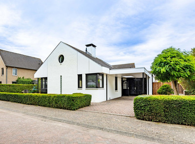 Zilverschoon 21