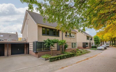 Zilverschoon 41