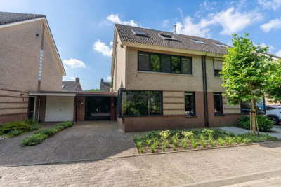 Zilverschoon 45