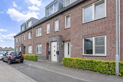 Pascher Har. 31