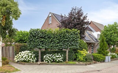Carmelietenstraat-west 41