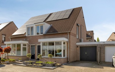 Groenling 10