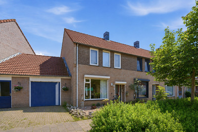 Bladkoninkje 25